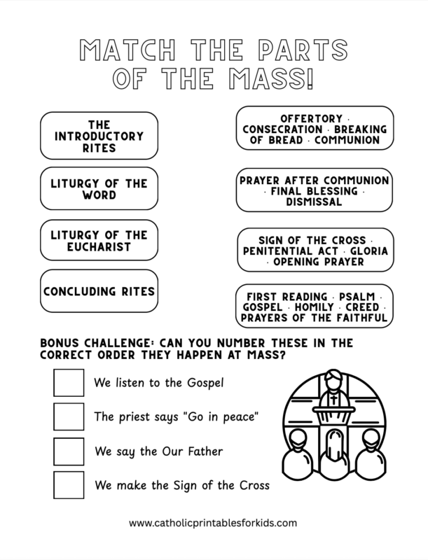parts of the Mass worksheet